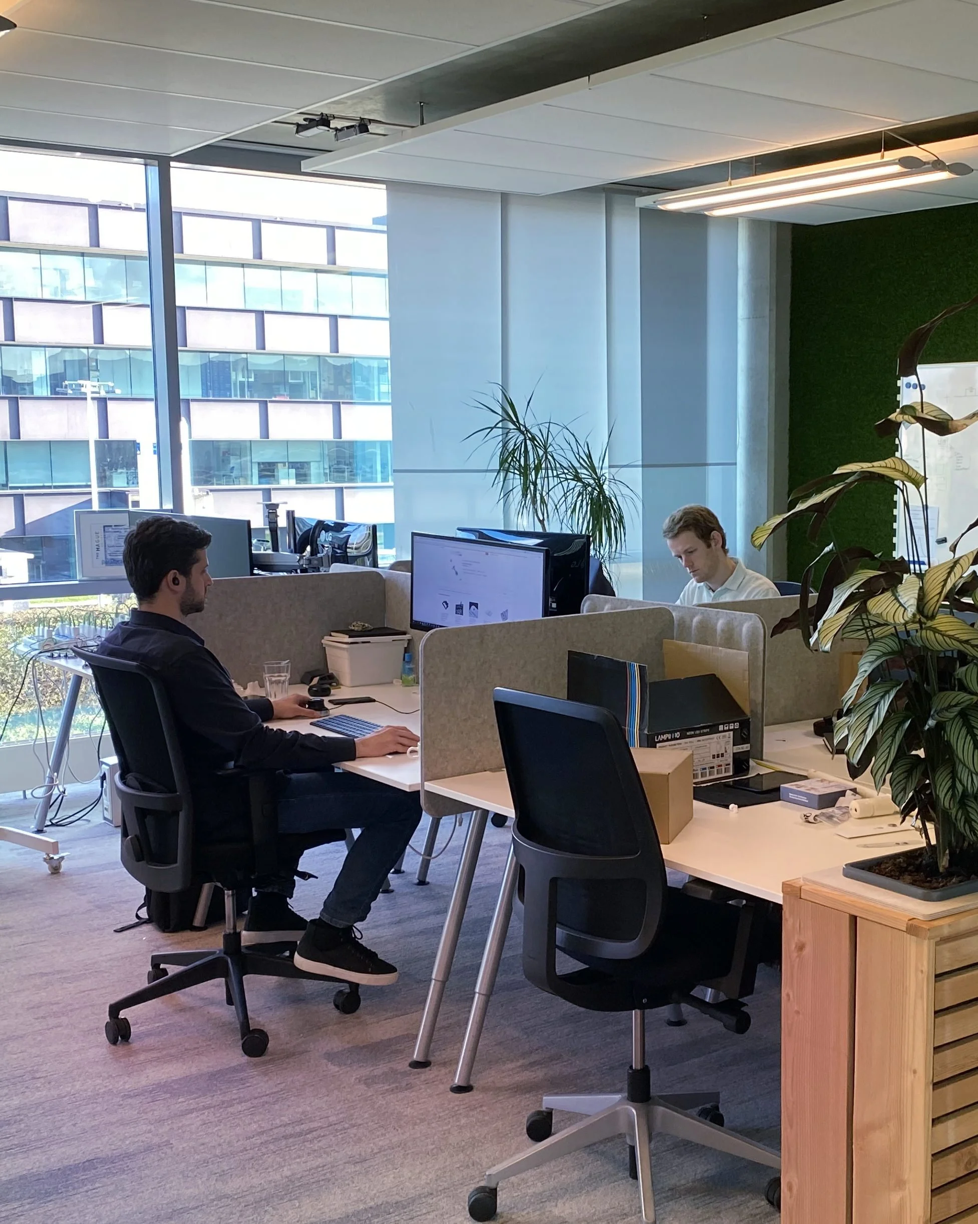 Light Therapy Products Light Tree Ventures